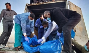 المكتب الإعلامي في غزة: ''الإحتلال قام بسرقة أعضاء من جثامين فلسطينيين''