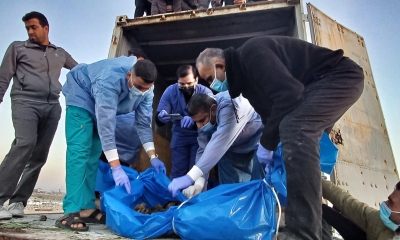 المكتب الإعلامي في غزة: ''الإحتلال قام بسرقة أعضاء من جثامين فلسطينيين''