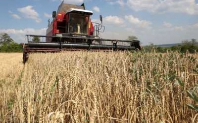 أوكرانيا تشكو دول أوروبية لمنظمة التجارة بسبب واردات الحبوب
