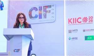 طرح 180 فرصة استثمارية عبر خريطة "الكوميسا" الرقمية