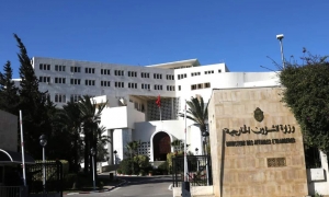 وزير الخارجية المصري يصل إلى تونس اليوم الاثنين للتشاور السياسي