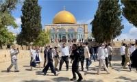 عشرات المستوطنين يقتحمون المسجد الأقصى وسط استفزازات للفلسطينيين