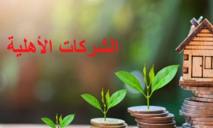 شركات الأهلية