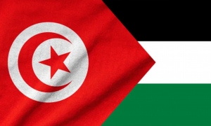 تونس تدين تواصل تصعيد الكيان المحتل في وتيرة جرائمه ضد الفلسطينين