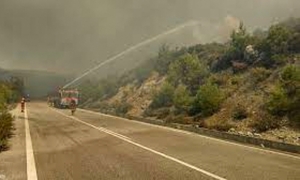 سائحون يفرون من حريق غابات في جزيرة رودس اليونانية