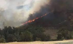 طبرقة : منع حريق اندلع بجبل بريرم من الوصول لتجمعات سكنية