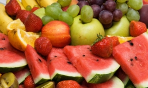 صادرات غلال تونس
