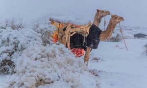 طقس سيئ في مدن عربية وثلوج غير معتادة بالقاهرة