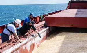 مبادرة تصدير الحبوب الأوكرانية تمضي ببطء بعد تمديدها