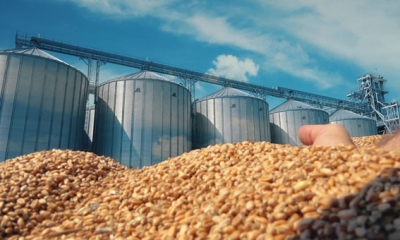 اسعار الحبوب عند التصدير تنخفض بالتغيرات اليومية
