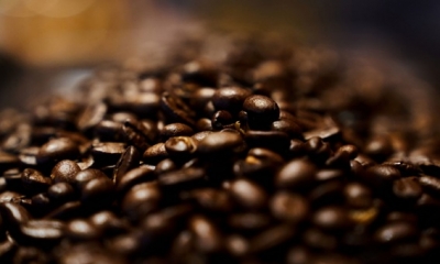 نقص محصول البن يرفع تكلفة أرخص أنواع القهوة في العالم