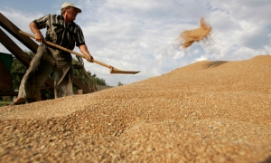 80 % من واردات تونس من القمح مصدرها «اوكرانيا» و«روسيا»: ارتفاع محتمل لأسعار القمح المتدفق عبر البحر الأسود واضطراب منتظر في تأمينه