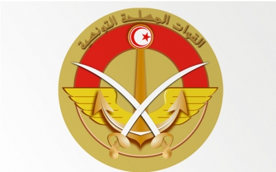 استئجار عناصر ليبية مسلحة لحماية المهربين : وزارة الدفاع الوطني تقرر