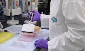 مدنين : إرسال عينات مرفوعة من أشخاص ثبت حملهم لفيروس كورونا إلى التقطيع الجيني للتثبت من مطابقتها لمتحور « إيريس »
