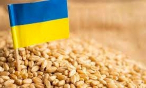 لندن تتهم روسيا بخوض المخاطر لمنع صادرات الحبوب الأوكرانية
