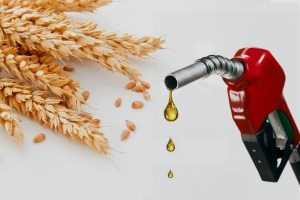 توقعات بارتفاع الأسعار العالمية