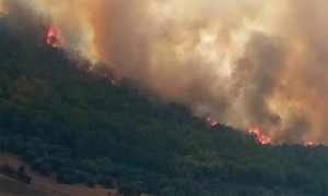 غار الدماء: السيطرة على حريق بغابة منطقة البلدة الحدودية