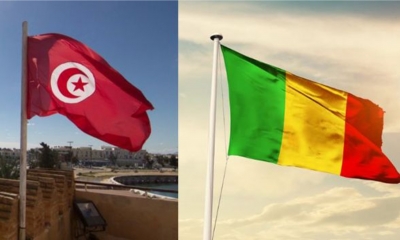 تونس تعبر عن تضامنها مع الشعب المالي