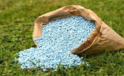 بعد قرار وزارة الفلاحة بتوريد 60 ألف طن من سماد الأمونيتر: اتحاد الفلاحين: الكميات ضعيفة مقارنة بحاجيات تصل إلى 200 ألف  طن ومن الضروري إحكام السيطرة على مسالك التوزيع تجنبا للاحتكار