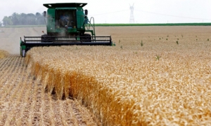 10 سنوات من السياسية وإهمال الاقتصاد : شحنة القمح التي تخفي «إفلاس» الدولة
