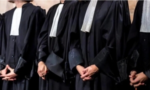  الهيئة الوطنية للمحامين تعلن عن سلسلة من التحرّكات