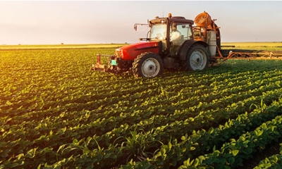 وزارة أملاك الدولة: نشر قائمة العقارات الدولية الفلاحية المعروضة للكراء بالمراكنة للشركات الأهلية