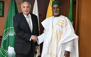الجزائر ونيجيريا تبحثان فرص الحل السلمي لأزمة النيجر