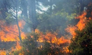 تضرر حوالى 16 هكتارا بجبل النحلي بسبب الحرائق