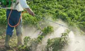 شركات اوروبية تواصل تصدير مادة «الكلوربيريفوس» للمبيدات الحشرية المحظورة نحو تونس وبلدان أخرى