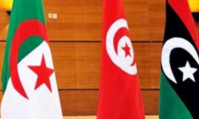 المياه الجوفية المشتركة بين تونس والجزائر وليبيا:  استغلال مفرط دون التشاور بين البلدان الثلاثة
