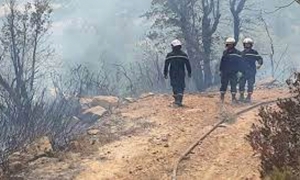 سليانة: الإدارة الجهوية للتجهيز تتدخّل لإخماد حريق جبل المرقب