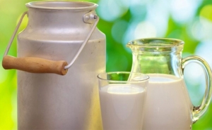 كان قد بلغ في جوان 2017 نحو 50 مليون لتر: المخزون من الحليب بلغ في جوان المنقضي 35.6 مليون لتر
