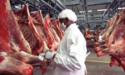 البرازيل والصين تجتمعان اليوم لمناقشة مسألة تصدير اللحوم وجنون البقر