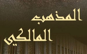 هويتنا الدينيّة:  جهود الإمام سحنون رحمه الله في خدمة المذهب المالكي (1)