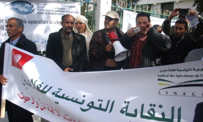 بعد جلسة صلحية وصفتها الجامعة بالـ«فاشلة»: إضراب بيومين في القطاع الفلاحي بداية من اليوم الإربعاء