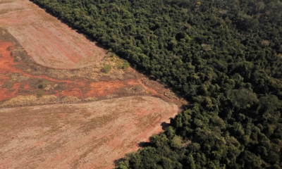 تقرير دولي: ثلث غابة الأمازون تم تدميره بسبب الأنشطة البشرية والجفاف