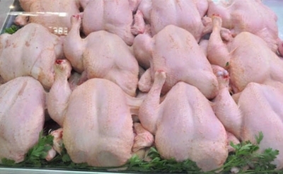 تراجع إنتاج دجاج اللحم بـ5.5 % خلال شهر أكتوبر