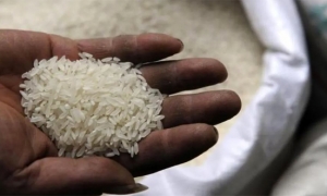 الامارات : وزارة الاقتصاد تُعلن وقف تصدير وإعادة تصدير الأرز بشكل مؤقت إلى خارج الدولة