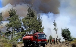 سوريا تكافح لاحتواء حرائق غابات مع ارتفاع درجات الحرارة