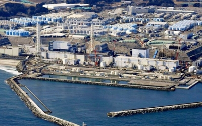 الصين تعلق واردات جميع المنتجات البحرية القادمة من اليابان