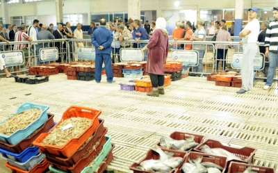 نقص في تزود سوق الجملة ببئر القصعة بالأسماك: 80 % من الأسماك موردة من ليبيا والبحارة يطالبون بمنحة دعم المحروقات لا تقل عن 40 %