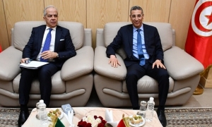 مقاومة الهجرة غير النظامية ومعالجتها في لقاء شرف الدين بماتيو بيانتيدوزي