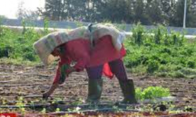 لقاء حواري حول قضايا العمالة الزراعية النسائية وسياسات تأبيد الهشاشة