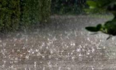 وزارة الفلاحة تدعو الفلاحين توخي الحذر وعدم المجازفة