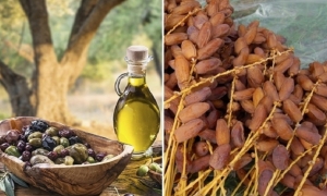 صادرات تونس نحو المغرب بلغت 973 مليون دينار