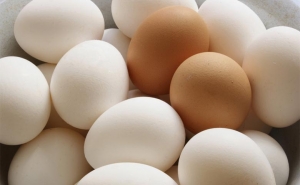 توريد 250 ألف بيضة فقط من جملة مليون ونصف مبرمجة: وزارة التجارة تنوي توريد مليون بيضة تفقيص والمنتجون يخشون إغراق السوق