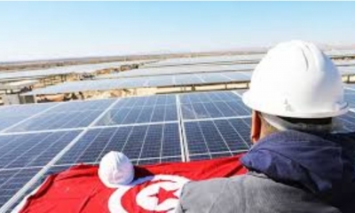 القطاع الخاص والانتقال الطاقي في تونس:  رهان اقتصادي بين ضغط العجز وفرص الاستثمار الأخضر