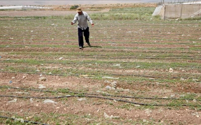 أمام شح مياه الري وتعطل موسم الزراعات الشتوية  سوق الجملة ببئرالقصعة يسجل تراجعا ملحوظا في مستوى التزود والأسعار في ارتفاع