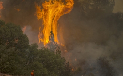 رقعة الحرائق تتسع :  فتح تحقيق ..الاحتفاظ بعنصرين ... وتضرّر أكثر من ألف هكتار