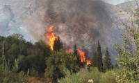 الجزائر موجة جديدة من الحرائق
